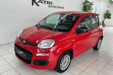 Fiat Panda Gebrauchtwagen