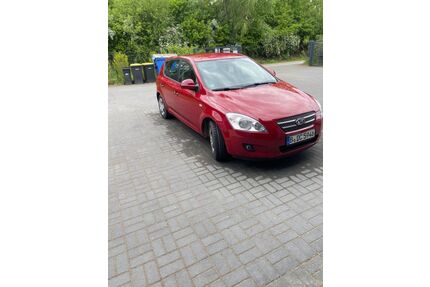 Kia ceed / Ceed Gebrauchtwagen