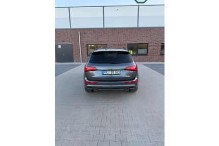 Audi Q5 Gebrauchtwagen