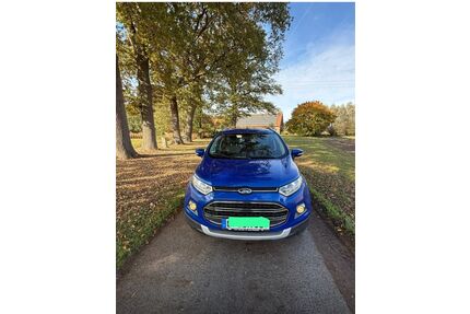 Ford EcoSport Gebrauchtwagen