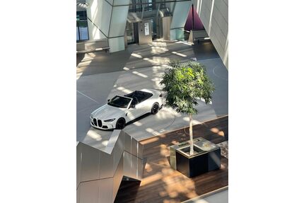 BMW M4 Gebrauchtwagen