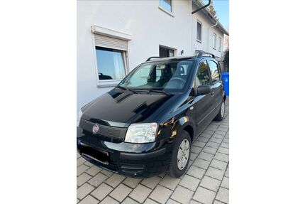 Fiat Panda Gebrauchtwagen