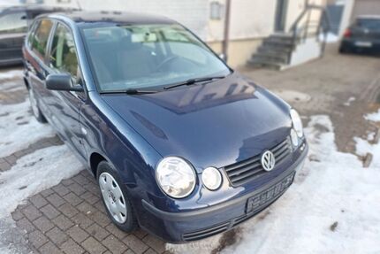 VW Polo Gebrauchtwagen