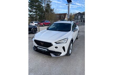 Cupra Formentor Gebrauchtwagen