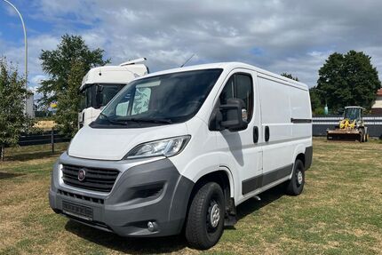 Fiat Ducato Gebrauchtwagen