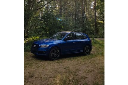 Audi SQ5 Gebrauchtwagen