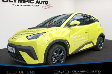 BYD DOLPHIN SURF Gebrauchtwagen