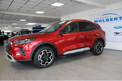 Ford Kuga Gebrauchtwagen