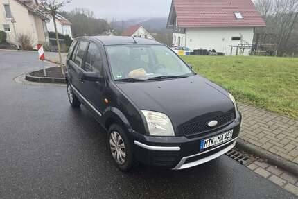 Ford Fusion Gebrauchtwagen