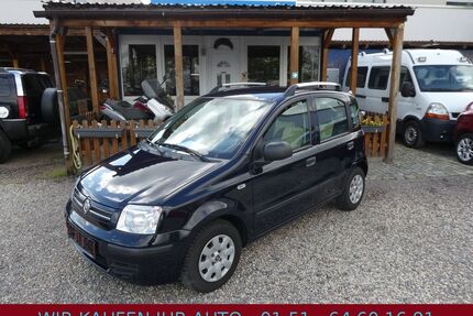 Fiat Panda Gebrauchtwagen