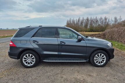 Mercedes-Benz ML 350 Gebrauchtwagen