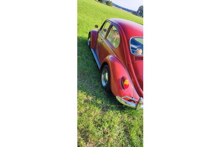 VW Käfer Gebrauchtwagen