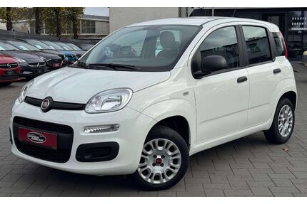Fiat Panda Gebrauchtwagen