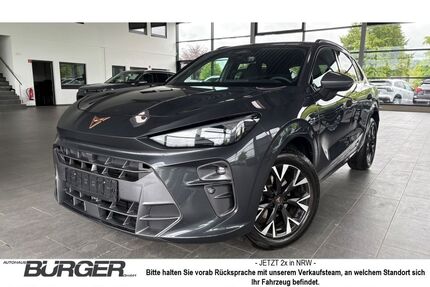 Cupra Terramar Gebrauchtwagen