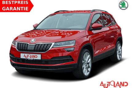 Skoda Karoq Gebrauchtwagen