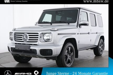 Mercedes-Benz G 450 Gebrauchtwagen