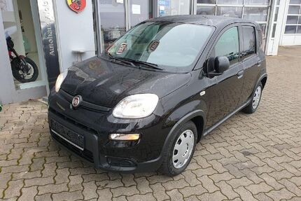 Fiat Panda Gebrauchtwagen