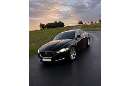 Jaguar XF Gebrauchtwagen