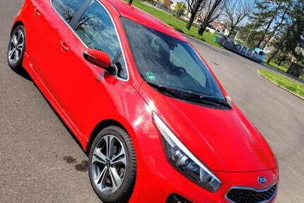 Kia ceed / Ceed Gebrauchtwagen