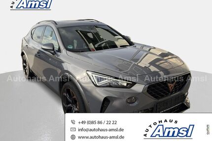Cupra Formentor Gebrauchtwagen