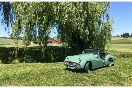 Triumph TR3 Gebrauchtwagen