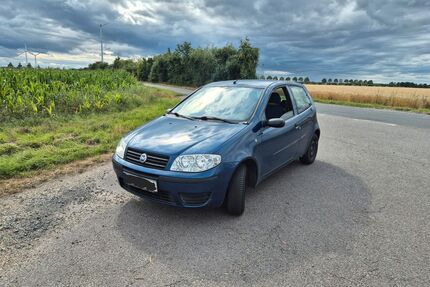 Fiat Punto Gebrauchtwagen