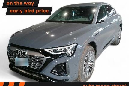 Audi Q8 e-tron Gebrauchtwagen