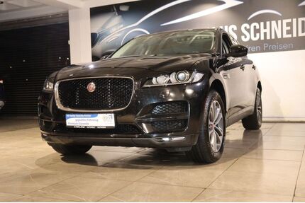 Jaguar F-Pace Gebrauchtwagen