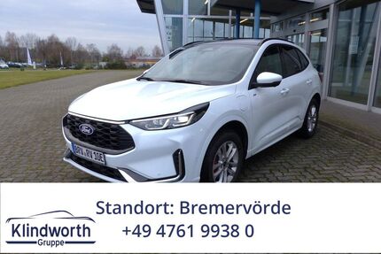 Ford Kuga Gebrauchtwagen