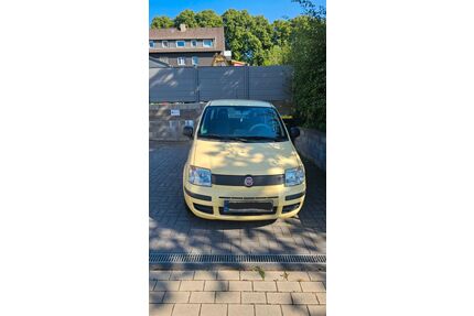 Fiat Panda Gebrauchtwagen