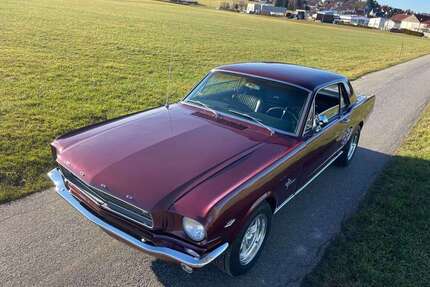 Ford Mustang Gebrauchtwagen
