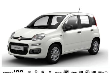 Fiat Panda Gebrauchtwagen