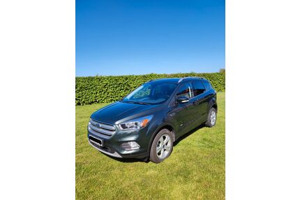 Ford Kuga Gebrauchtwagen