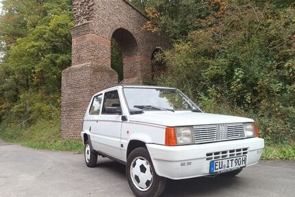 Fiat Panda Gebrauchtwagen