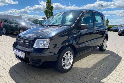 Fiat Panda Gebrauchtwagen