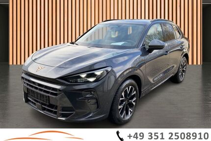 Cupra Terramar Gebrauchtwagen