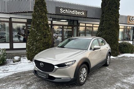 Mazda CX-30 Gebrauchtwagen