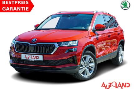 Skoda Karoq Gebrauchtwagen