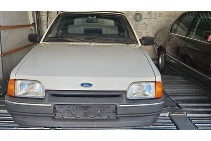 Ford Escort Gebrauchtwagen