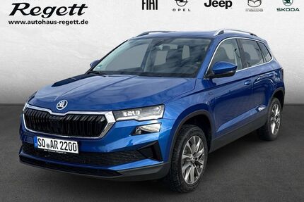 Skoda Karoq Gebrauchtwagen