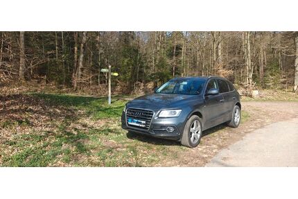 Audi Q5 Gebrauchtwagen