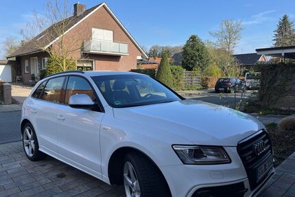 Audi SQ5 Gebrauchtwagen