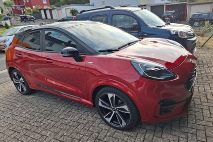 Ford Puma Gebrauchtwagen