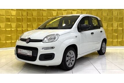 Fiat Panda Gebrauchtwagen