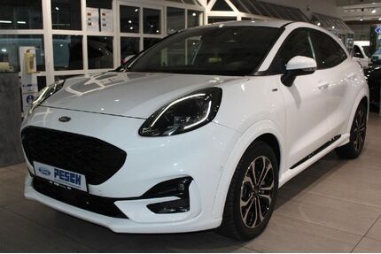 Ford Puma Gebrauchtwagen