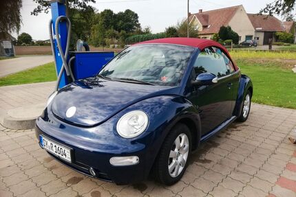 VW New Beetle Gebrauchtwagen