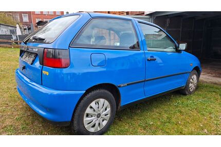 Seat Ibiza Gebrauchtwagen