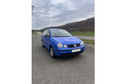 VW Polo Gebrauchtwagen