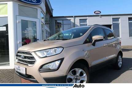 Ford EcoSport Gebrauchtwagen