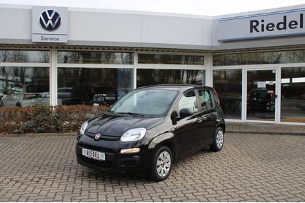 Fiat Panda Gebrauchtwagen